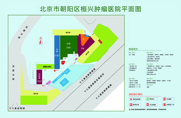 揉逼视频网站北京市朝阳区桓兴肿瘤医院平面图